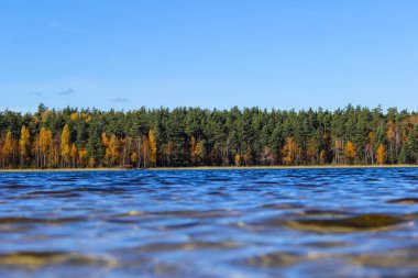 Mavi göl sonbahar ormandaki orman