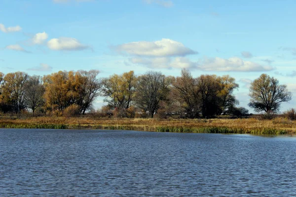 Bosque Lago Azul Bosque Otoño — Foto de Stock