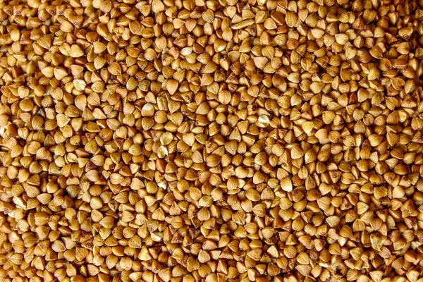 Tazón Pequeño Cereal — Foto de Stock