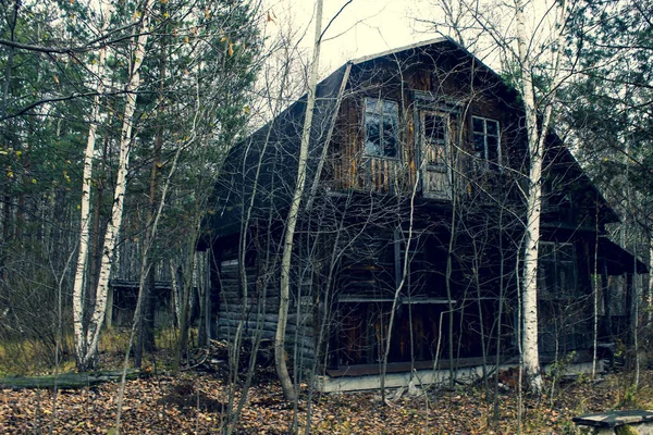 森林中被毁的老房子 — 图库照片