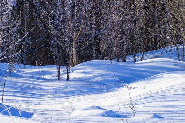 Kış ormanda kar beyaz