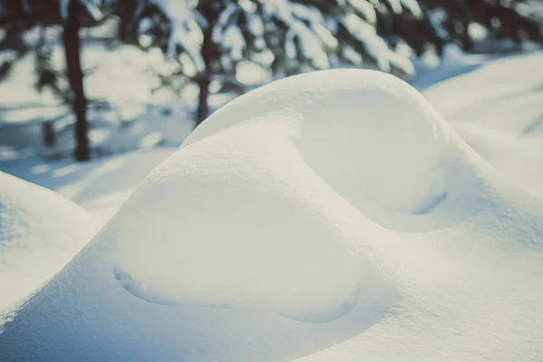 Bianco Scintillante Cumulo Neve Una Bellissima Pineta Invernale Innevata — Foto Stock