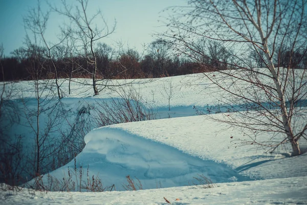 Ravine Borda Floresta Neve Inverno Campo Branco — Fotografia de Stock