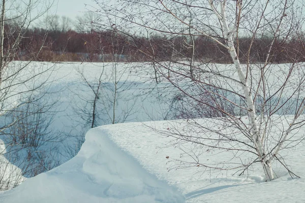 Ravine Borda Floresta Neve Inverno Campo Branco — Fotografia de Stock