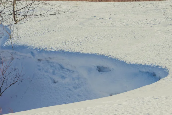 Schlucht Rande Des Winterlichen Schneewaldes Einem Weißen Feld — Stockfoto