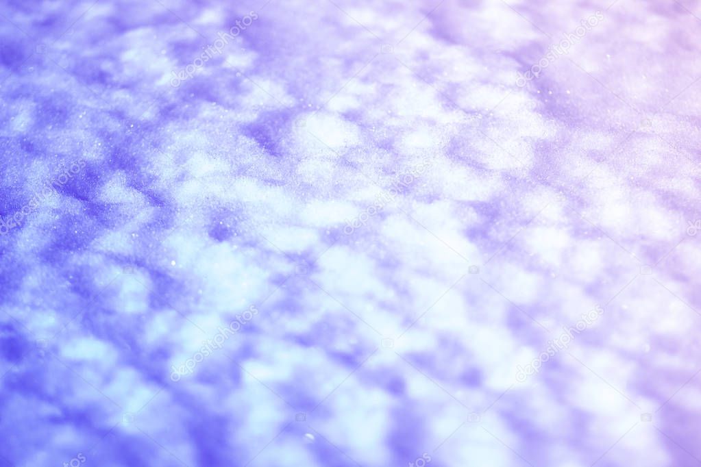 The background is White clean snow in a winter field