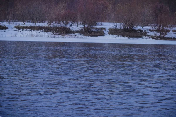 Drift Lodu Wiosnę Rzeki Trubezh Rosji — Zdjęcie stockowe