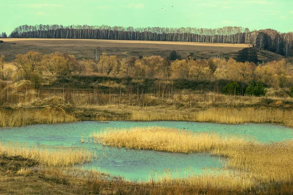 Malé Modré Jezero Jarním Poli Slunném Dengue Rusku — Stock fotografie