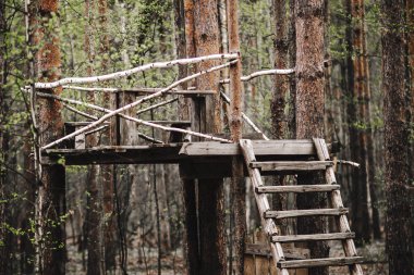 Rusya'da bahar orman Parkı'nda ormanda Gözlem güvertesi