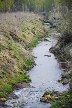 İlkbaharda küçük dar nehir ve Rusya'da muhteşem krasivaia