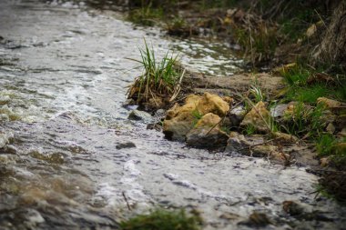 İlkbaharda küçük dar nehir ve Rusya'da muhteşem krasivaia