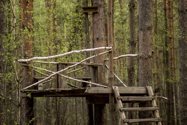 Observationsdäck Skogen Vår Skogs Park Ryssland — Stockfoto