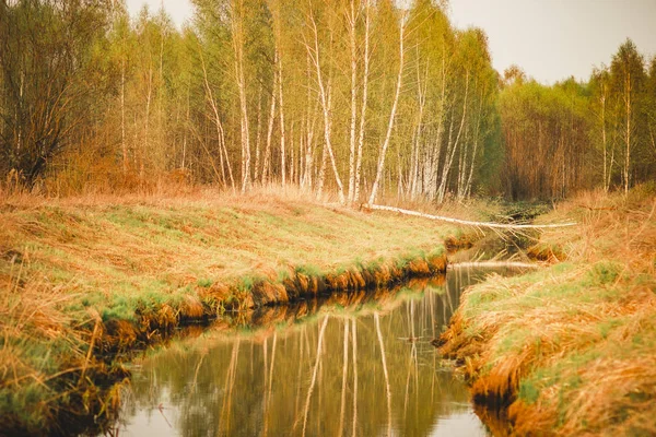 Pequeño Río Estrecho Primavera Fabulosa Krasivaia Rusia —  Fotos de Stock