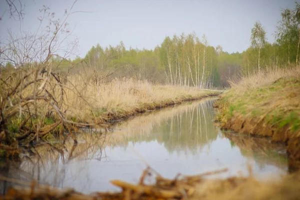 Kleiner Schmaler Fluss Frühling Und Die Märchenhafte Krasivaia Russland — Stockfoto