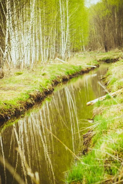 Pequeno Rio Estreito Primavera Fabuloso Krasivaia Rússia — Fotografia de Stock