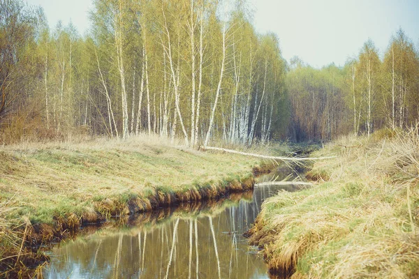 Kleiner Schmaler Fluss Frühling Und Die Märchenhafte Krasivaia Russland — Stockfoto