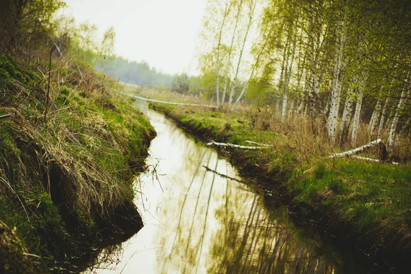 Small Narrow River Spring Fabulous Krasivaia Russia — Stock Photo, Image