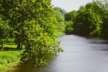 Mayıs ayında ilkbaharda orman yakınındaki Rawaki Gölü pitoresk kıyı