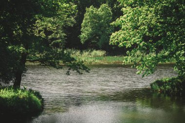 Mayıs ayında ilkbaharda orman yakınındaki Rawaki Gölü pitoresk kıyı