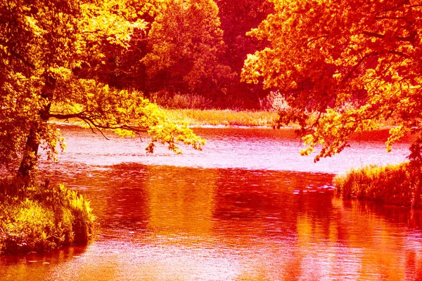 Picturesque Shore Lake Rawaki Forest Spring May — Stock Photo, Image