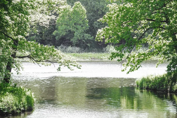 Costa Pitoresca Lago Rawaki Perto Floresta Primavera Maio — Fotografia de Stock