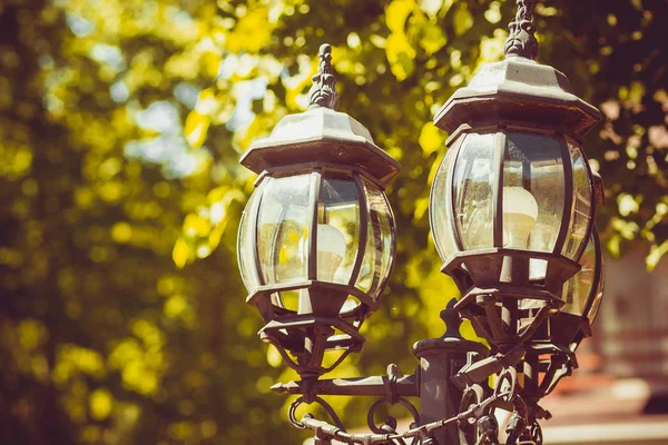 Stará Litinová Retro Lucerna Lesní Jarní Park — Stock fotografie