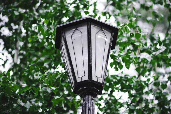 森林春天公园的旧铸铁复古灯笼 — 图库照片