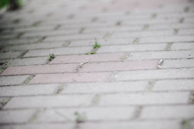 Yaz bahçesinde yolda kaldırım kare taş fayans