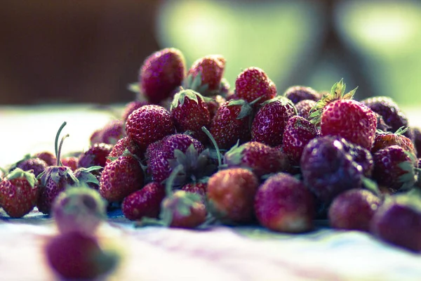 Κόκκινα Ζουμερά Νόστιμα Μούρα Φράουλας Ένα Μπολ Βιταμινών — Φωτογραφία Αρχείου