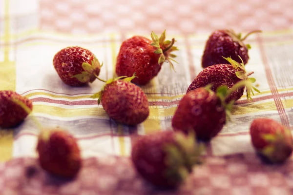 Rojo Jugoso Deliciosas Bayas Fresa Tazón Vitaminas — Foto de Stock