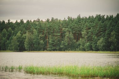 Yaz aylarında güzel orman gölü üzerinde aktif dinlenme