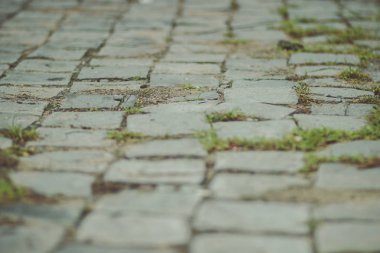 Deniz den kalenin taş duvarı