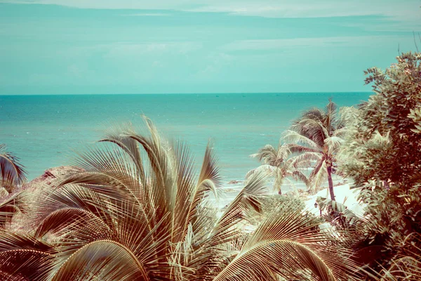 Groenblijvende Weelderige Palmbomen Aan Tropische Oever Van Warme Zee Van — Stockfoto