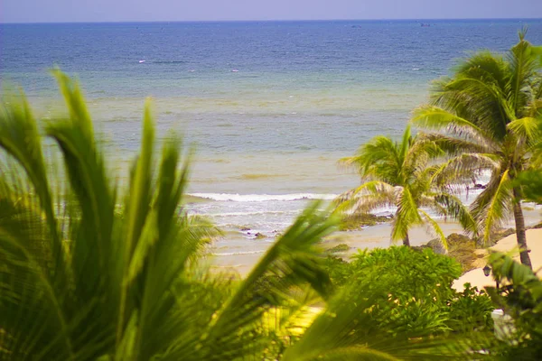 Evergreen Lush Palmer Den Tropiska Stranden Det Varma Havet Stilla — Stockfoto