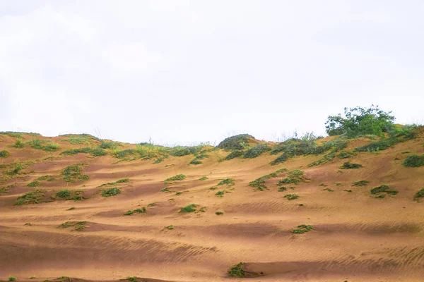 태평양 근처의 모래가 다채로운 아시아 사막과 — 스톡 사진
