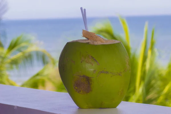 Coconut with a tube on the windowsill of the hotel by the sea