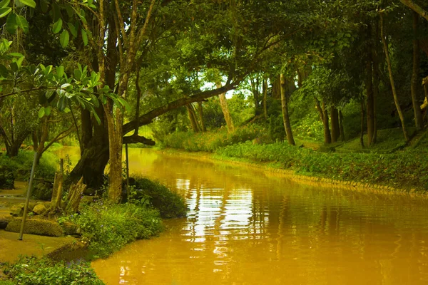 Gunung Berderak Gambar Air Terjun Alam Taman Nasional Asia — Stok Foto