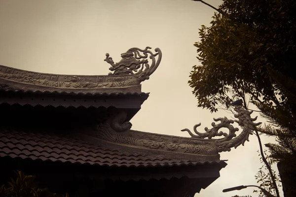 Bella Pagoda Nel Complesso Religioso Tempio Buddista Asia Vietnam — Foto Stock