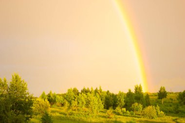 Gökyüzünde çok renkli gökkuşağı Yazın yeşil bir tarlada