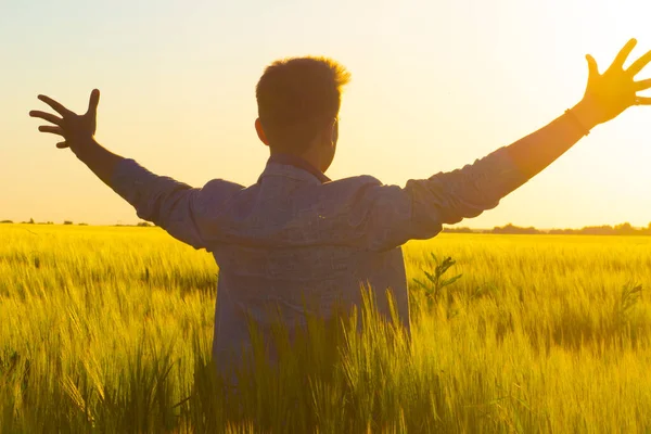 Young Man Outstretched Arms Field Sunset — Stock Photo, Image