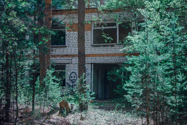 Abandonado Por Gente Cubierta Vegetación Localidad Ruinas Antiguas Ciudad Retro — Foto de Stock