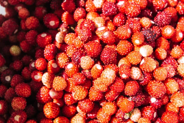 Rode Rijpe Gezonde Verse Heerlijke Sappige Bessen Aardbeien Het Bos — Stockfoto