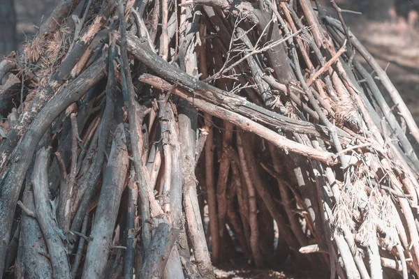 Eine Alte Hütte Aus Trockenen Kiefernzweigen Zum Schlafen Märchenwald — Stockfoto