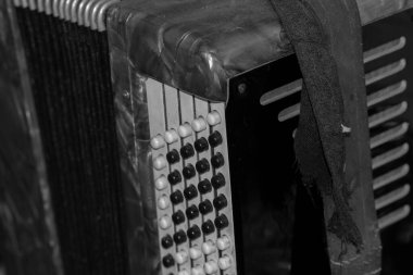 Eski antik Rus müzik enstrümanı Bayan