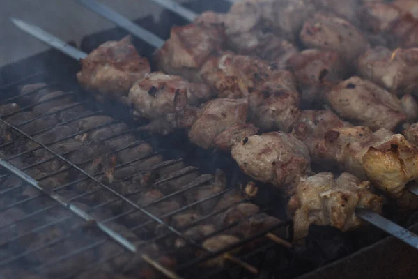 Shashlik Carne Churrasco Grelha Piquenique — Fotografia de Stock