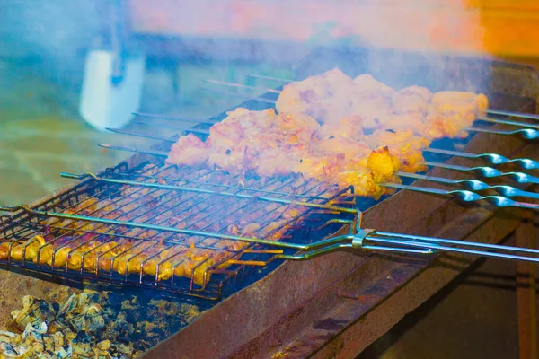 Shashlik Carne Churrasco Grelha Piquenique — Fotografia de Stock