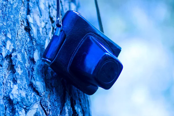 Old Soviet retro camera in a case on a tree