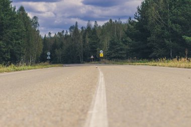 Ormanda asfalt bir yolda düz beyaz bir şerit.