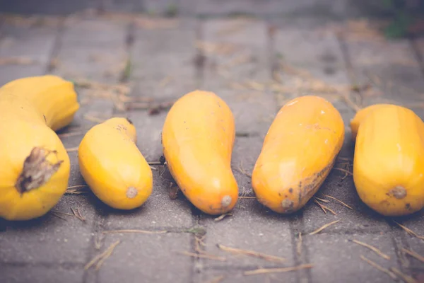 Quelques Courgettes Jaunes Mûres Sur Les Tuiles Trottoir — Photo