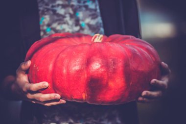 Kocaman kırmızı olgun bir balkabağı genç bir adamın elinde tatil için.